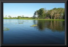 Nahe Lago Janauacá