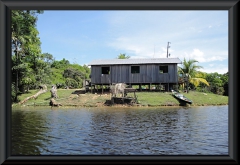 Am Lago Janauacá