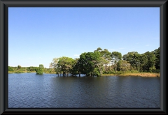 Am Lago Janauacá
