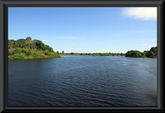 Am Lago Janauacá