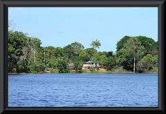 Am Lago Janauacá