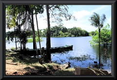 Am Lago Janauacá