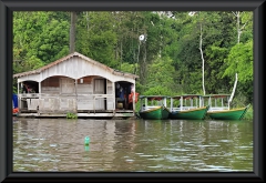 Am Lago Janauary