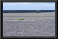 Encontro das Aguas