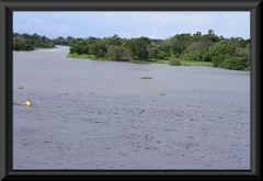 Nahe Manaus