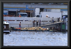 Manaus vom Rio Negro