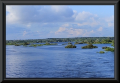 Rio Negro, Wasser bis in die Baumkronen