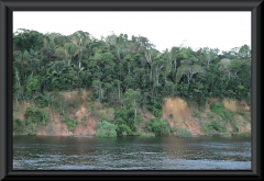 Am Rio Negro