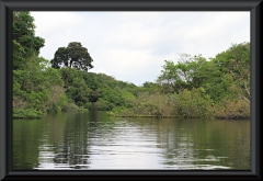 Rio Negro - Anavilhanas Archipel