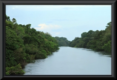 Rio Negro - Anavilhanas Archipel