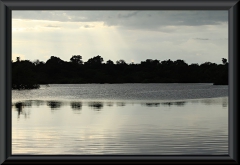 Rio Negro - Anavilhanas Archipel