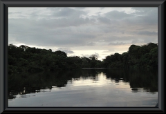 Rio Negro - Anavilhanas Archipel