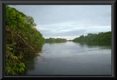 Rio Negro - Anavilhanas Archipel