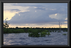 Rio Negro - Anavilhanas Archipel