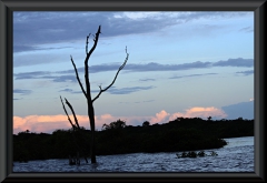 Rio Negro - Anavilhanas Archipel