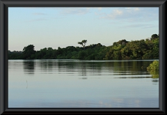 Am Rio Negro