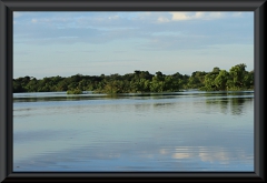 Am Rio Negro