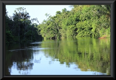 Am Rio Negro