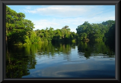 Am Rio Negro