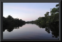 Rio Ariau