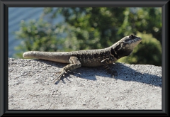 In Río de Janeiro