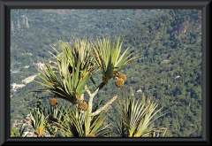 In Río de Janeiro