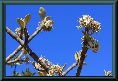 Brasilien_2013_02212