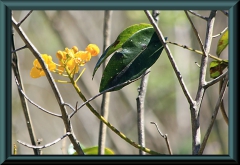 Brasilien_2013_02214