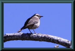 Brasilien_2013_02226