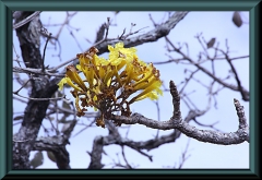 Brasilien_2013_03220