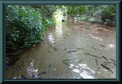 Brasilien_2013_04402