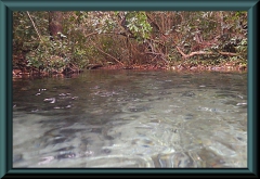 Brasilien_2013_04403