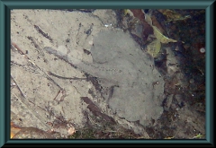 Brasilien_2013_05122