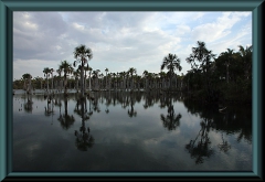 Lagoa das Araras