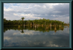 Lagoa das Araras