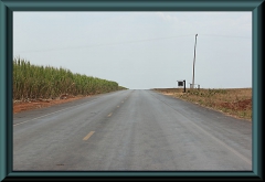 Kilometerlange Zuckerrohr-Plantage