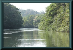 Rio Claro