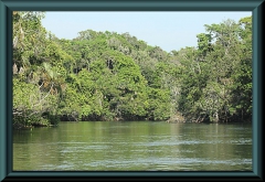 Rio Claro