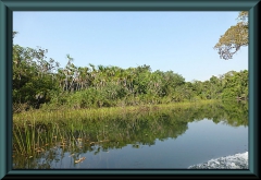 Brasilien_2013_06209