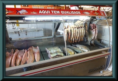 Brasilien_2013_08323
