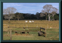Brasilien_2013_08502