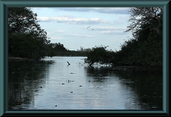 Brasilien_2013_08602