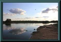 Brasilien_2013_08604