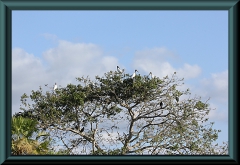 Brasilien_2013_08616