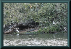 Brasilien_2013_08620