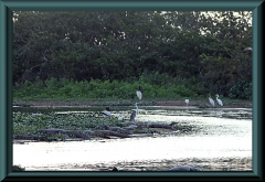 Brasilien_2013_08622