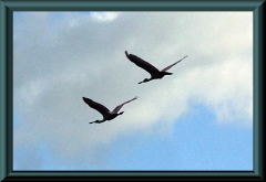 Brasilien_2013_08623
