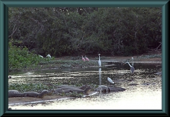 Brasilien_2013_08625