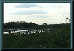 Brasilien_2013_08636