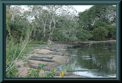 Brasilien_2013_08639